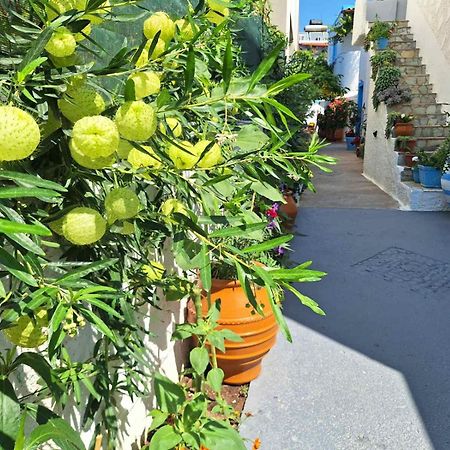 Βig Βlue Apartments มากรีเยียลอส ภายนอก รูปภาพ