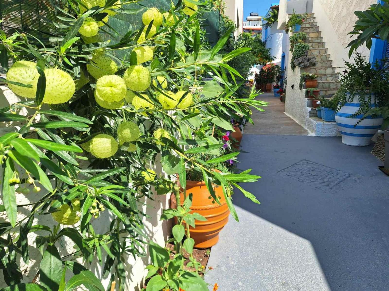 Βig Βlue Apartments มากรีเยียลอส ภายนอก รูปภาพ